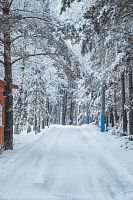 Катание на электросанях – новый вид зимнего развлечения в профилактории «Морозовский» 